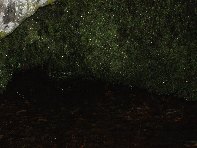 qua Rocca20100328 056